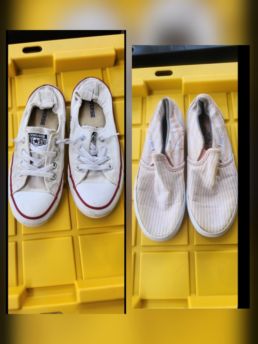 Converse  White And Vans Women Size 8